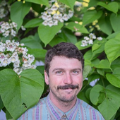 Nick Shoulders