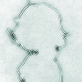 saert logo (late 2020)