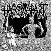 Hacked Apart