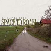 Space to Roam