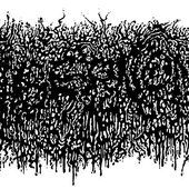 291579877_4769308743174118_4196856893218943507_n.jpg