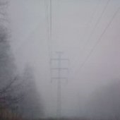 Dead Hues