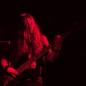 Corina Elena (Bass) Live in 2024