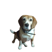 Avatar for Billie0