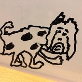 kort.jpg