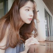d2073588.jpg