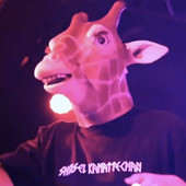 Qonum 的头像