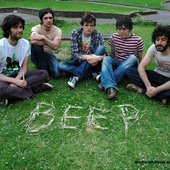 Beep Seals by shoko Ishikawa Photography