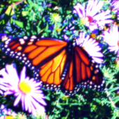 Avatar for purplegirl9to4