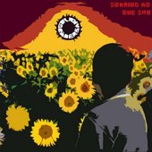 Staring At The Sun