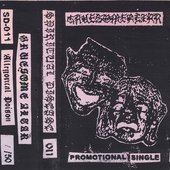 Promotional Single