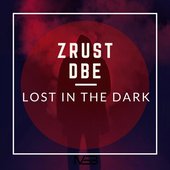 Lost in the Dark - Single