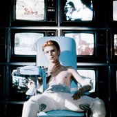 the man who fell to earth