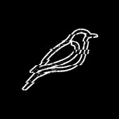 logo spotify.jpg