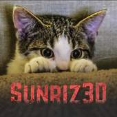 Avatar for Sunriz3D