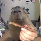 B_rek 的头像