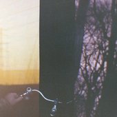 Uncertain Voices