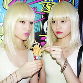 FEMM