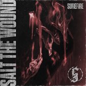 Salt the Wound - Single