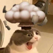 goonys 的头像