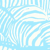 Alternative animated cover for zebra