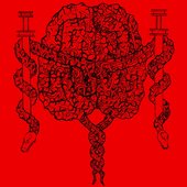 Cerebral Quasaric Lacerations MMXXIII
