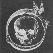 Avatar for janpasztetdrugi
