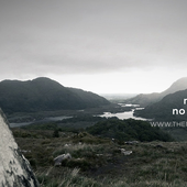 None