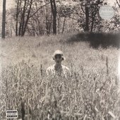 TAYLORSWIFT_Folklore.InTheWeedsCoverLPgen.jfif