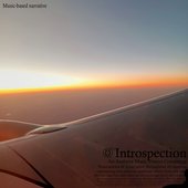 Introspection