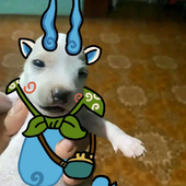 Avatar for LatiKon