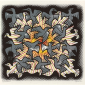 Avatar for msj42