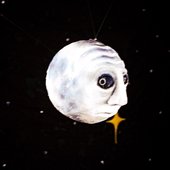 am i moon