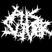 pus sliver.jpg