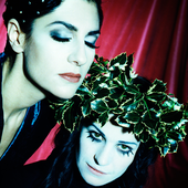 Shakespear's Sister-4.png