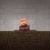Villager News / Element Animation