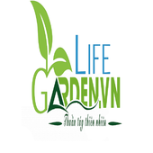 Avatar for lifegardenn