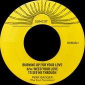Burning Up For Your Love b/w I Need Your Love To See Me Through