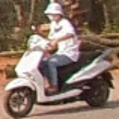 LMSWord2007 的头像