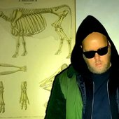 vålådalen.jpg