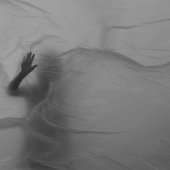 1566038134_echo-adore.jpg