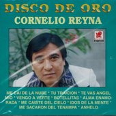 Disco De Oro