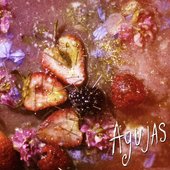 Agujas - Single