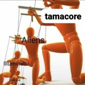 sti coglioni