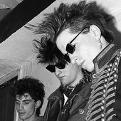  The Bonaparte's