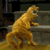 Avatar di sofakingsneaky
