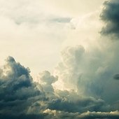 IMG_1529.jpeg