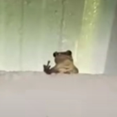 achmadzunaedii 的头像