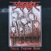 Twelve Thousand Heads