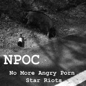 No More Angry Porn Star Riots
